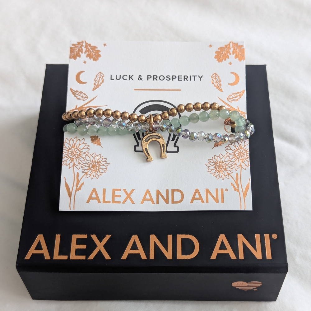 Alex and Ani Token of Luck Horseshoe Stretch Bracelet